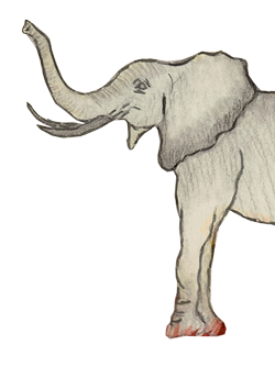 Die Giraffe RAFU und der Elefant - RAFU - eine afrikanische Geschichte